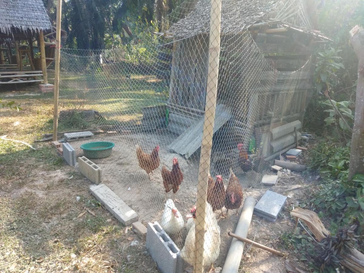 Meechok Organic Home Ao Nang Exterior foto