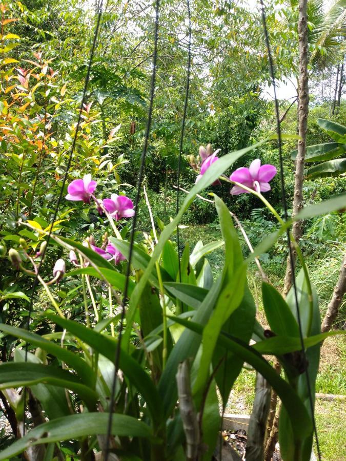 Meechok Organic Home Ao Nang Exterior foto